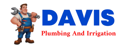 Trusted plumber in PARTHENON